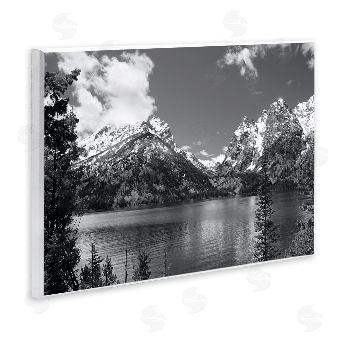 Steve Toole | Nature Pond Landscape