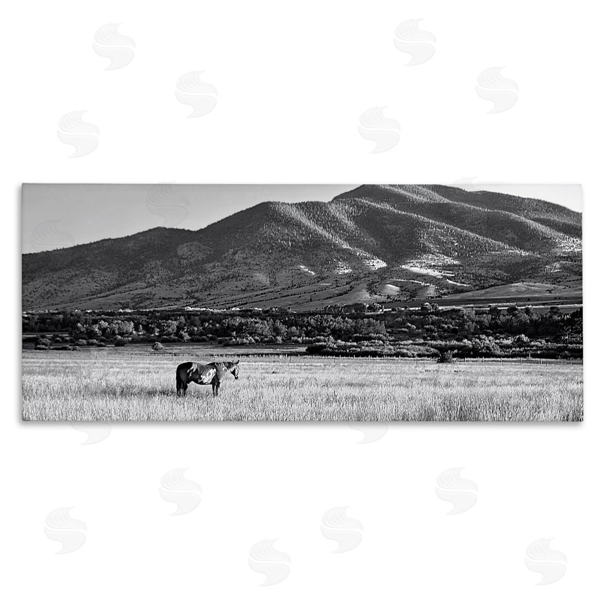 Steve Toole Horse in Mountains Canvas Wall Art