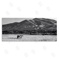 Steve Toole | Horse in Mountains