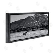 Steve Toole | Horse in Mountains
