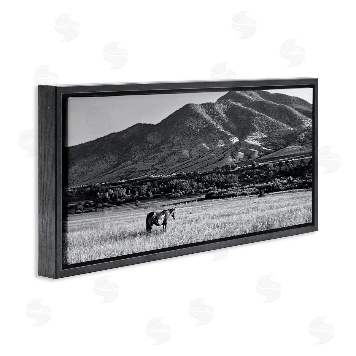 Steve Toole | Horse in Mountains
