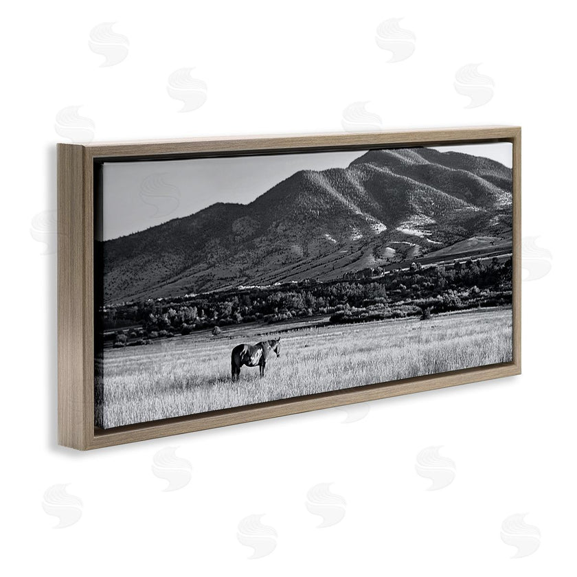 Steve Toole | Horse in Mountains
