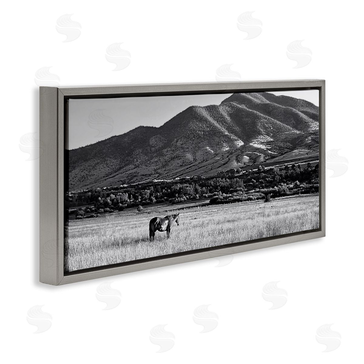 Steve Toole | Horse in Mountains