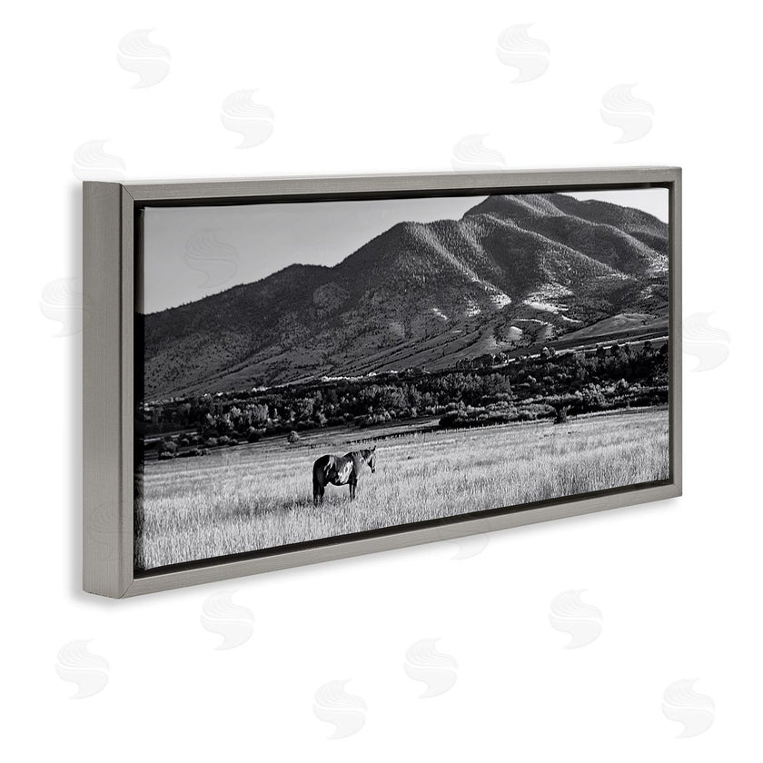 Steve Toole | Horse in Mountains