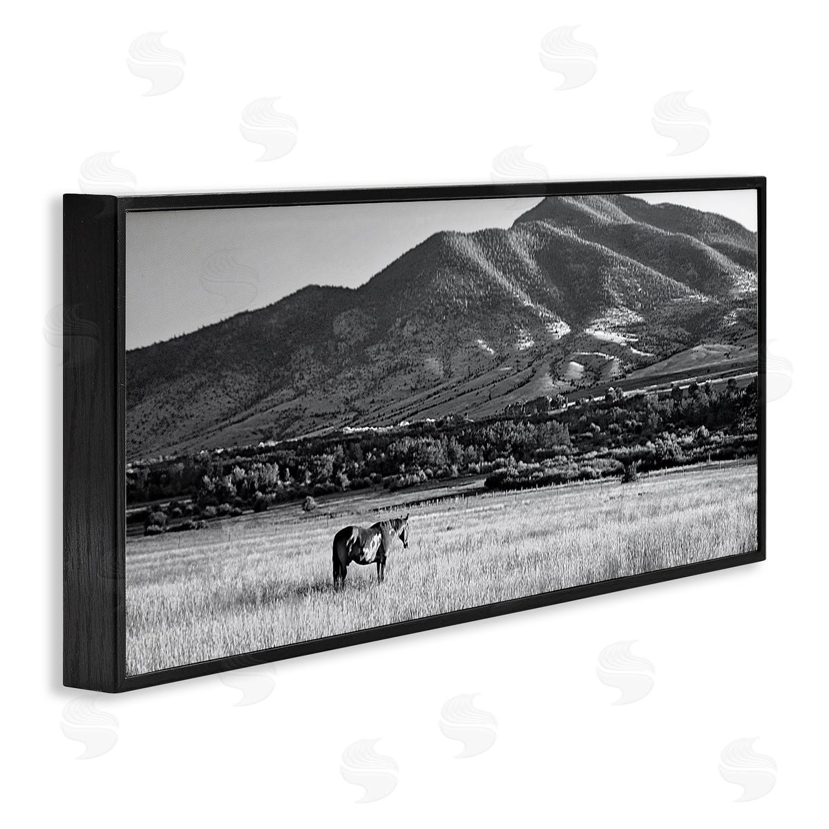 Steve Toole | Horse in Mountains