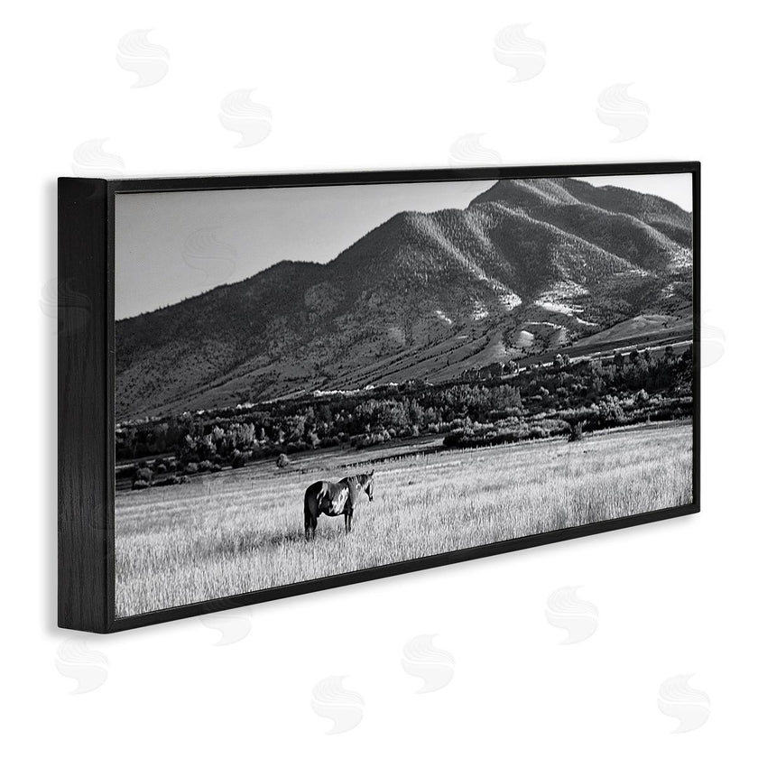 Steve Toole | Horse in Mountains