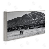 Steve Toole | Horse in Mountains