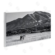 Steve Toole | Horse in Mountains