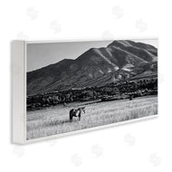 Steve Toole | Horse in Mountains