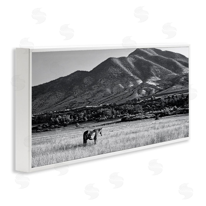 Steve Toole | Horse in Mountains