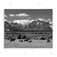 Steve Toole | Horses Grazing Countryside