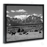 Steve Toole | Horses Grazing Countryside