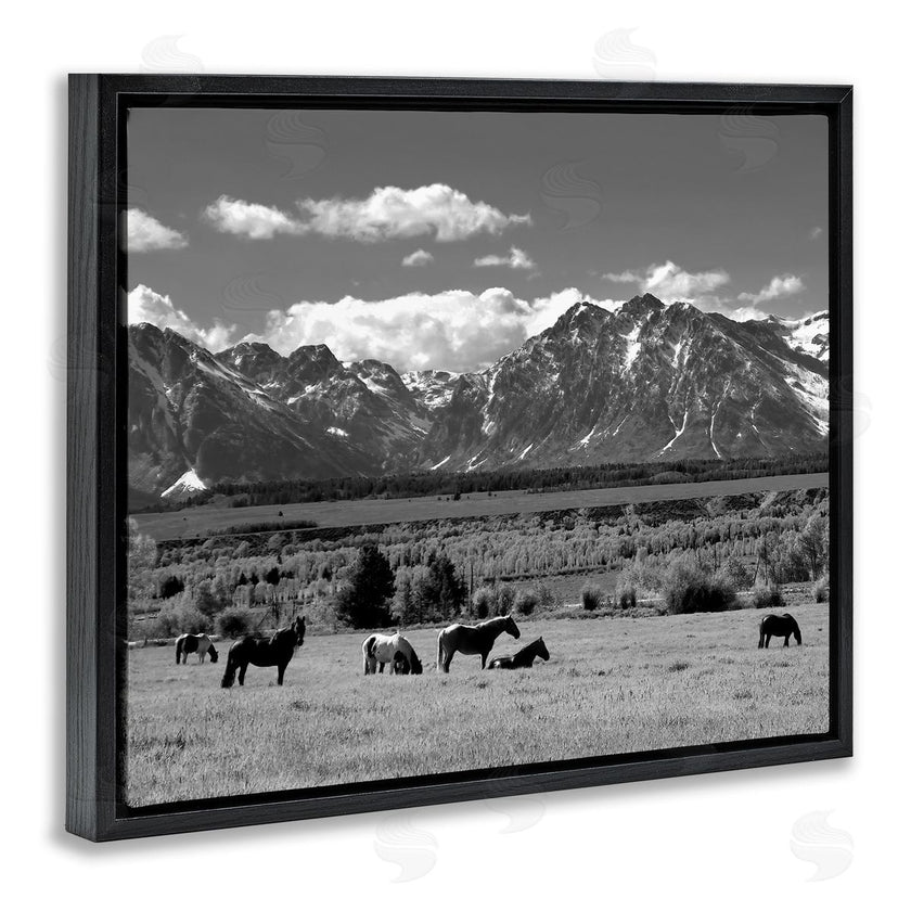 Steve Toole | Horses Grazing Countryside