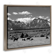 Steve Toole | Horses Grazing Countryside