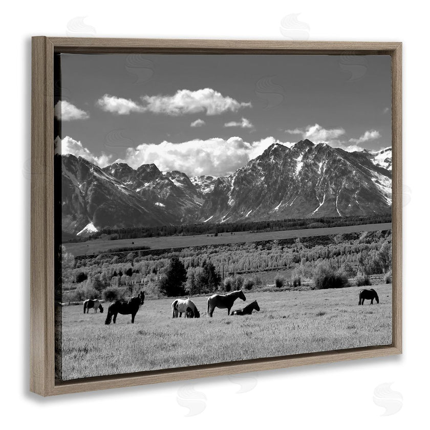 Steve Toole | Horses Grazing Countryside