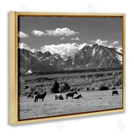Steve Toole | Horses Grazing Countryside