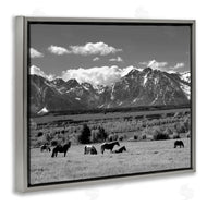 Steve Toole | Horses Grazing Countryside