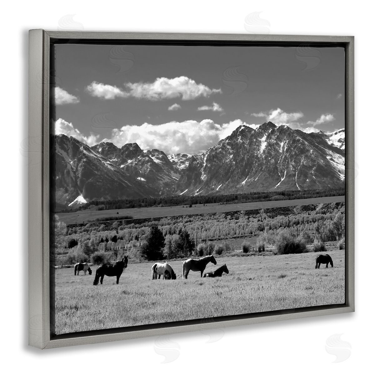 Steve Toole | Horses Grazing Countryside