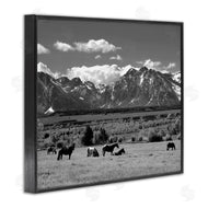 Steve Toole | Horses Grazing Countryside