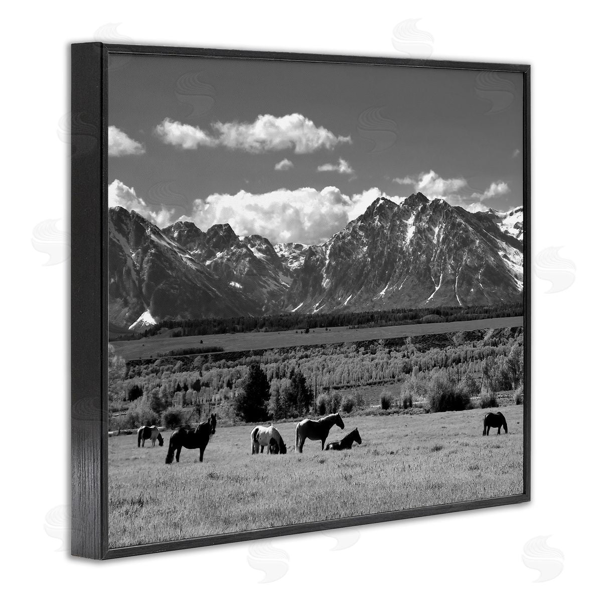 Steve Toole | Horses Grazing Countryside