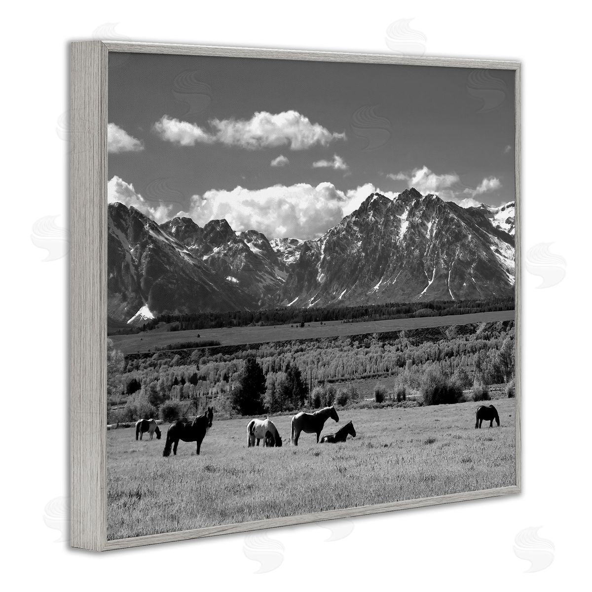 Steve Toole Horses Grazing Countryside Gray Framed Giclee Wall Artside_