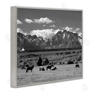Steve Toole | Horses Grazing Countryside