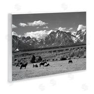 Steve Toole | Horses Grazing Countryside
