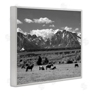Steve Toole | Horses Grazing Countryside