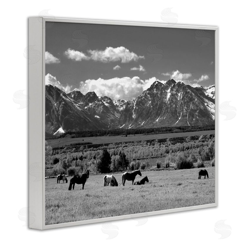 Steve Toole | Horses Grazing Countryside