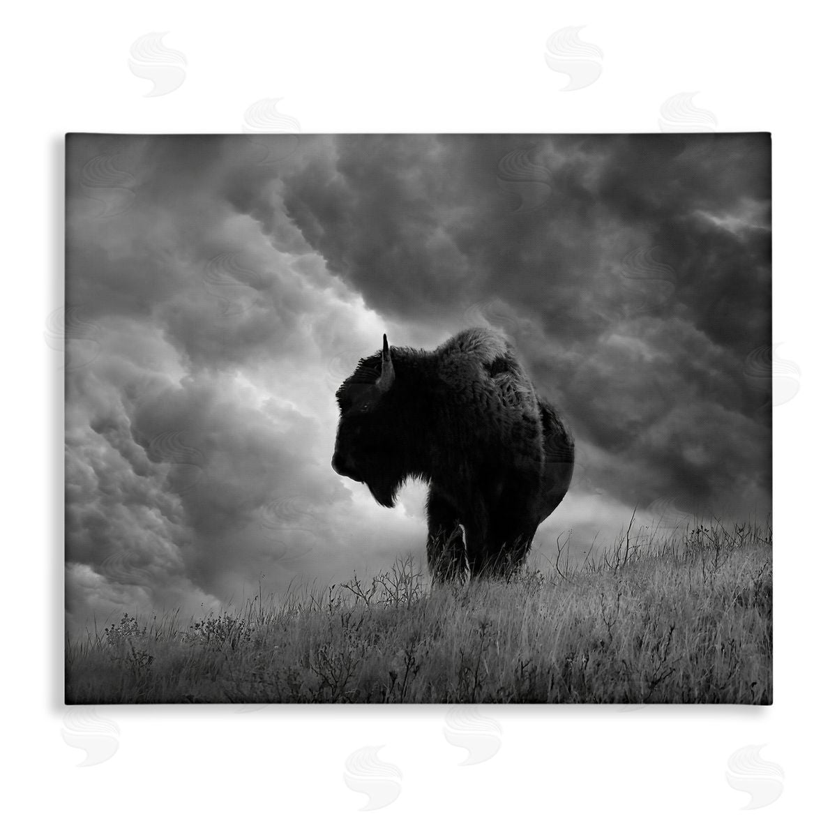 Steve Toole | Ox in Cloudy Landscape