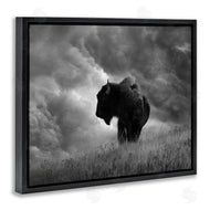 Steve Toole | Ox in Cloudy Landscape