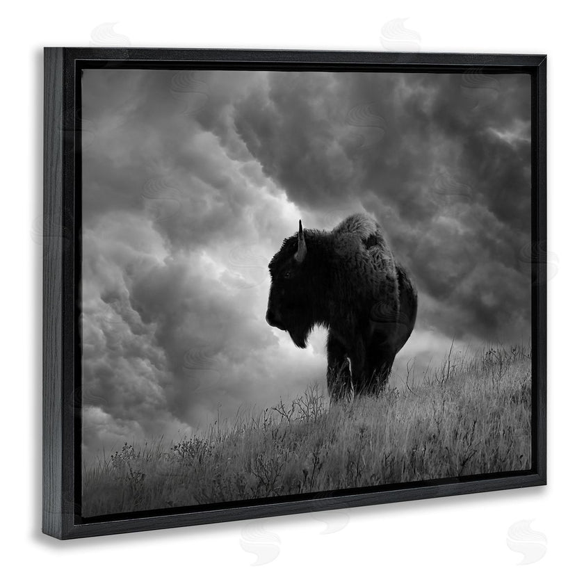 Steve Toole | Ox in Cloudy Landscape