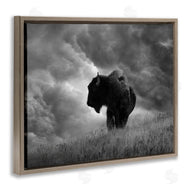 Steve Toole | Ox in Cloudy Landscape