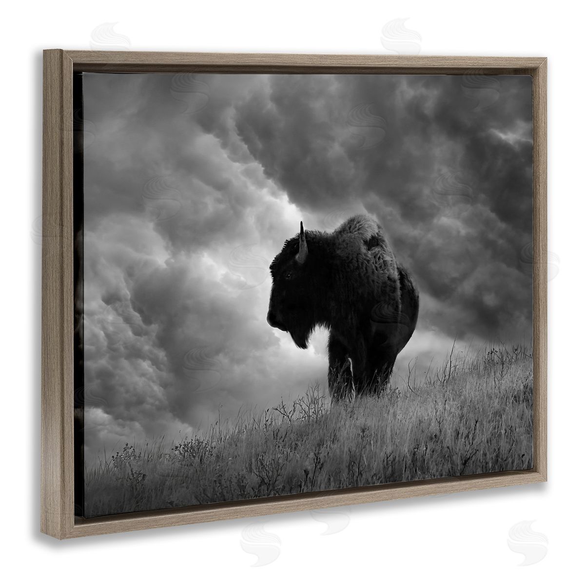 Steve Toole | Ox in Cloudy Landscape