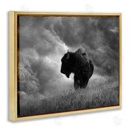 Steve Toole | Ox in Cloudy Landscape
