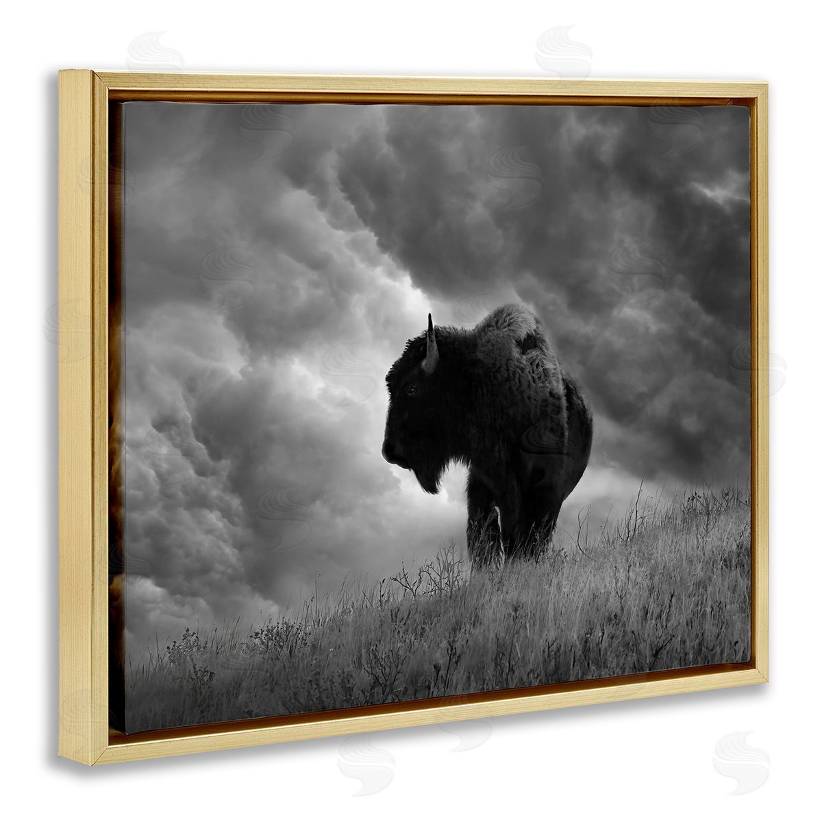 Steve Toole | Ox in Cloudy Landscape