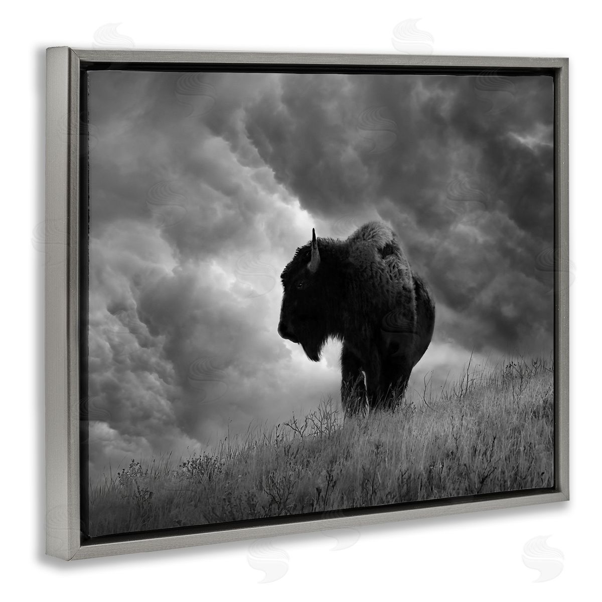 Steve Toole Ox in Cloudy Landscape Gray Floater Frame Canvas Artside_