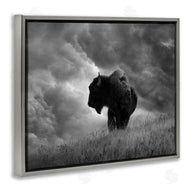 Steve Toole | Ox in Cloudy Landscape