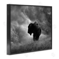 Steve Toole | Ox in Cloudy Landscape