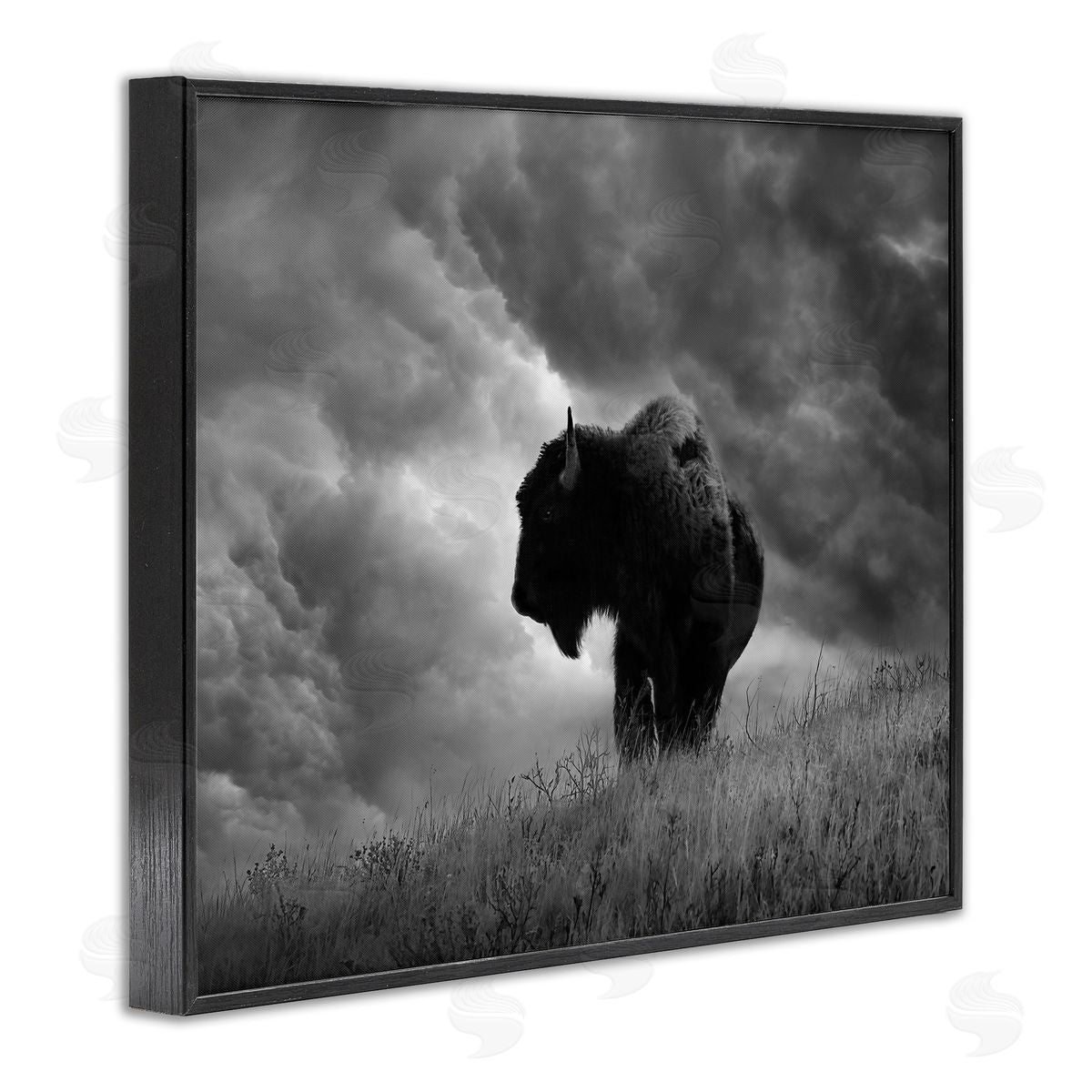 Steve Toole | Ox in Cloudy Landscape