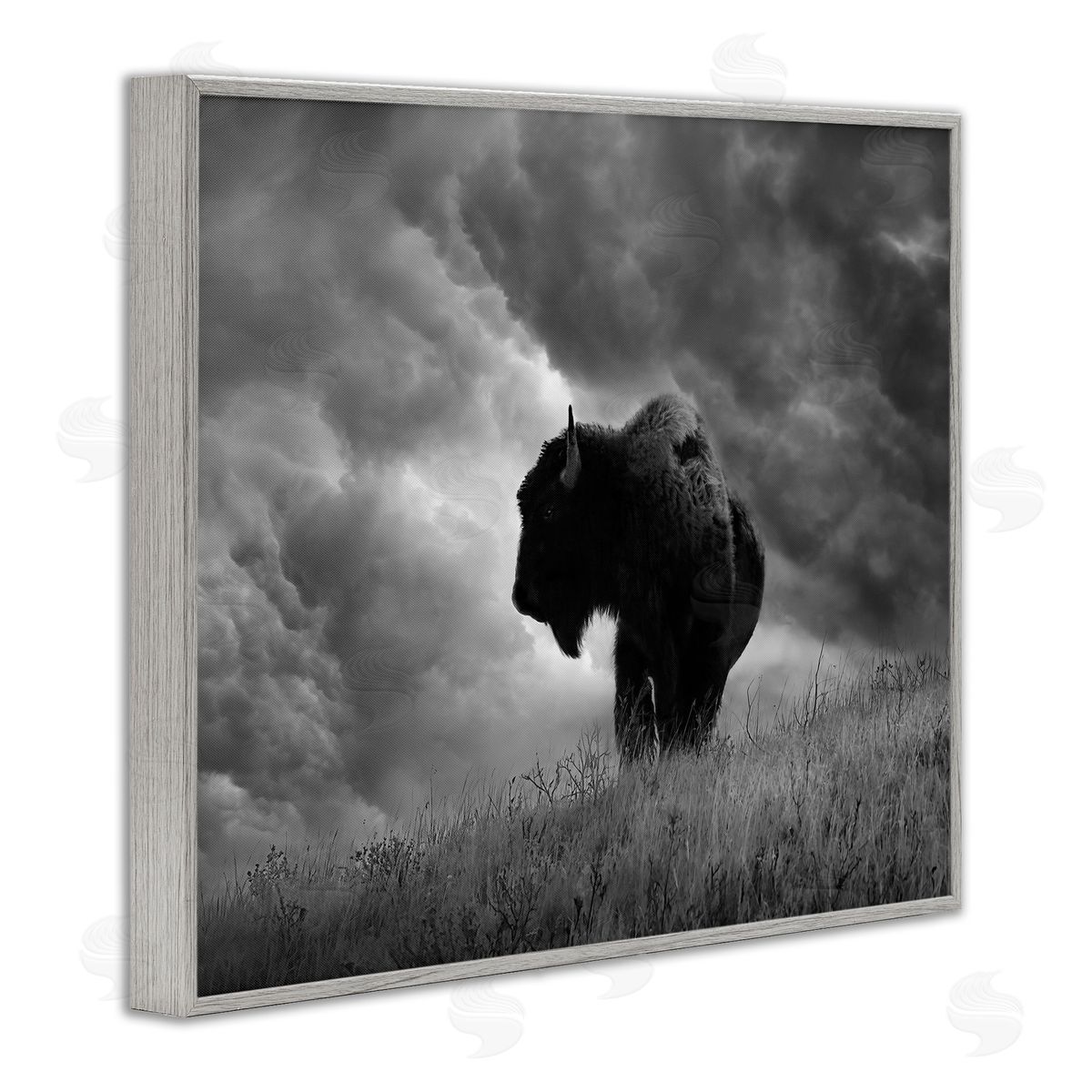 Steve Toole Ox in Cloudy Landscape Gray Framed Giclee Wall Artside_