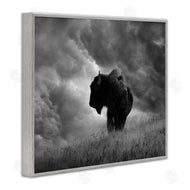 Steve Toole | Ox in Cloudy Landscape