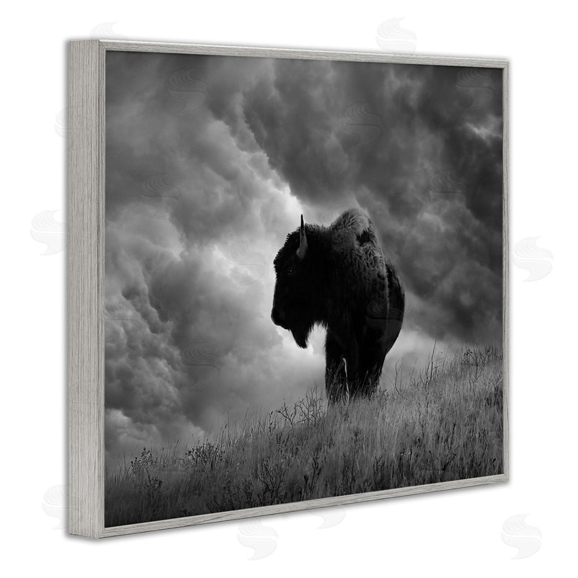 Steve Toole | Ox in Cloudy Landscape