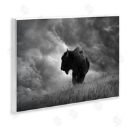 Steve Toole | Ox in Cloudy Landscape