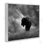 Steve Toole | Ox in Cloudy Landscape