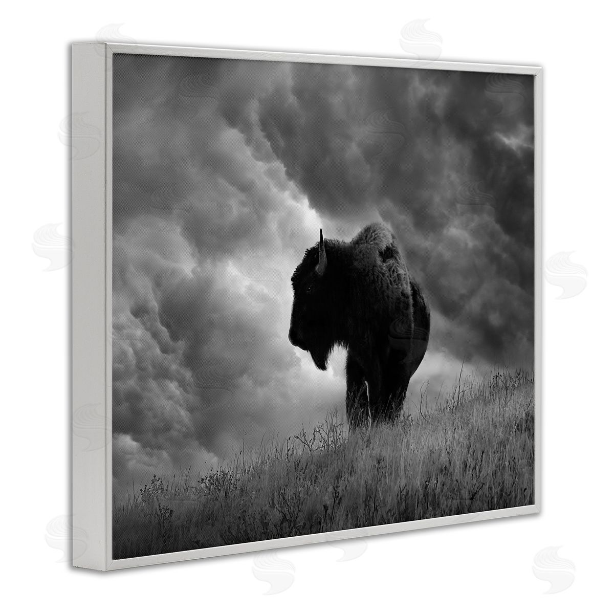 Steve Toole | Ox in Cloudy Landscape