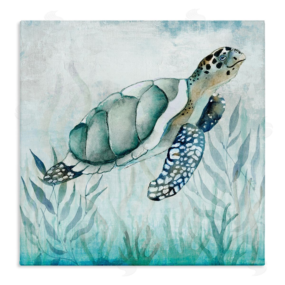 Janet Tava | Turtle & Seaweed