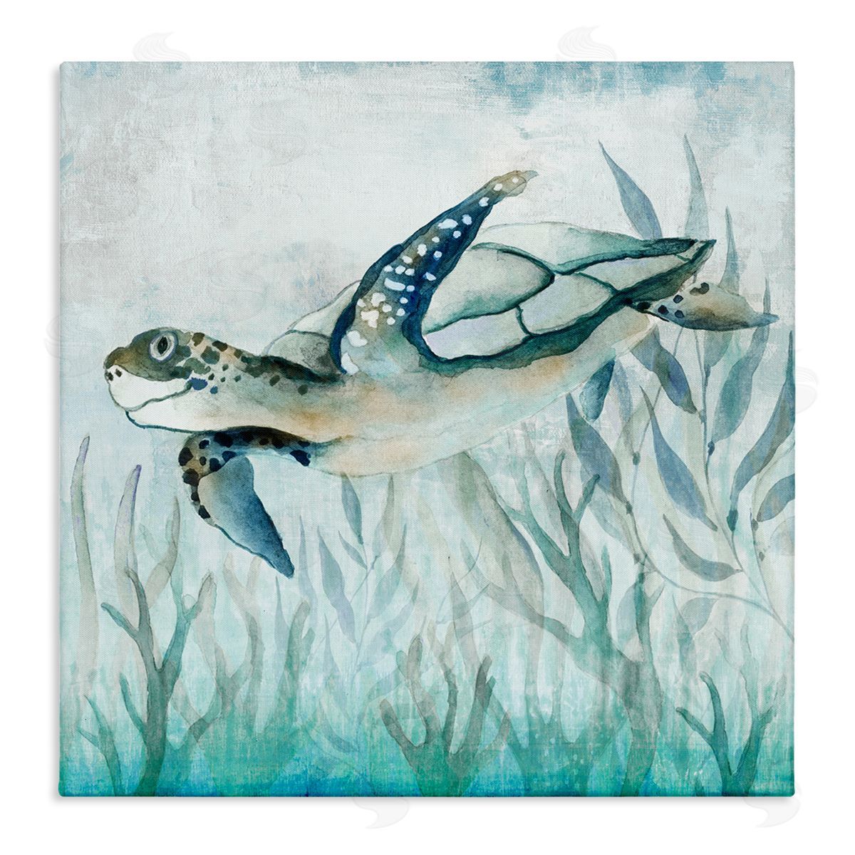 Janet Tava | Swimming Sea Turtle