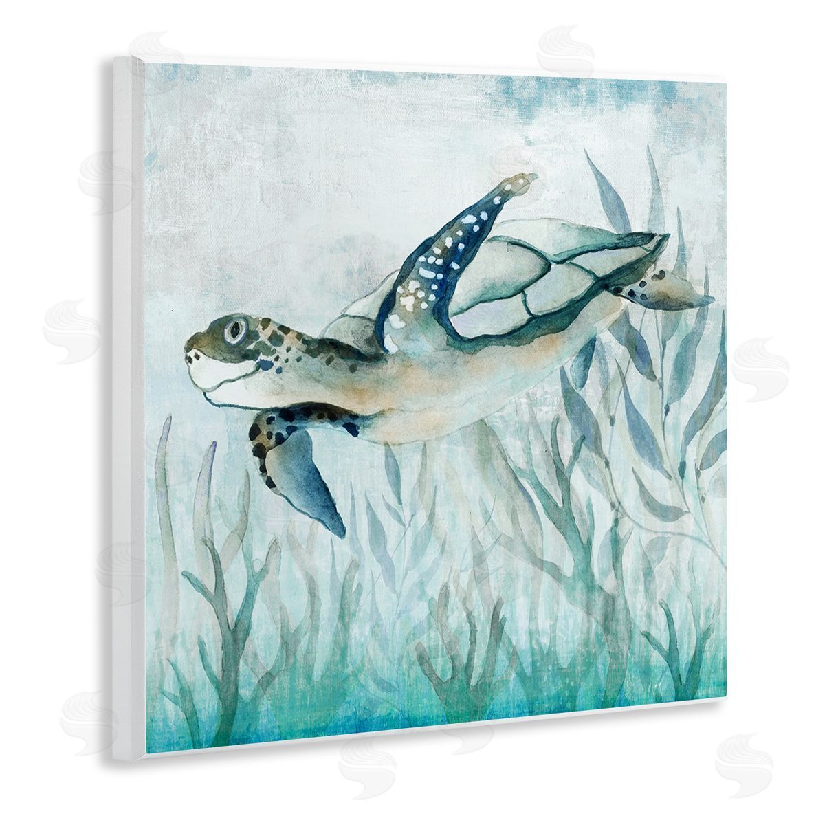 Janet Tava | Swimming Sea Turtle