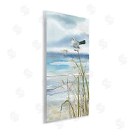 Carol Robinson | Bird & Abstract Beach